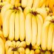 exportación de bananos en Latinoamericana